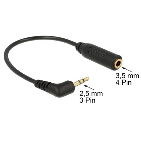 DeLock Audio Cable Stereo jack 2,5mm 3 pin male angled > Stereo jack 3,5mm 4 pin female