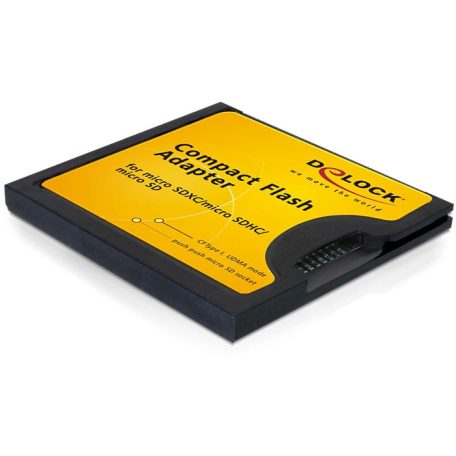 DeLock Compact Flash Adapter for Micro SD Memory Cards