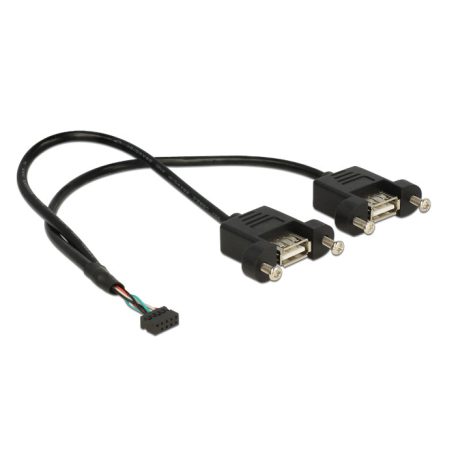 DeLock Cable USB 2.0 pin header female 2.00 mm 10 pin > 2x USB 2.0 Type-A female panel-mount 25cm