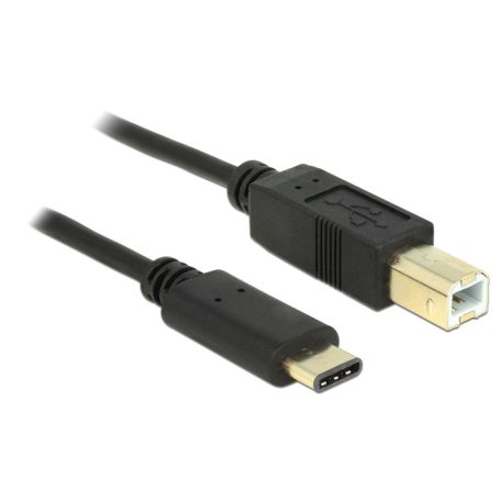 DeLock Cable USB Type-C 2.0 male > USB 2.0 Type-B male 2m Black