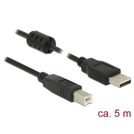 DeLock USB 2.0 Type-A male > USB 2.0 Type-B male 5m Black Cable