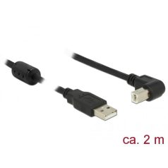   DeLock USB 2.0 Type-A male > USB 2.0 Type-B male angled 2m cable Black