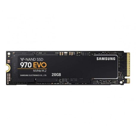 Samsung 250GB M.2 2280 NVMe 970 Evo Plus