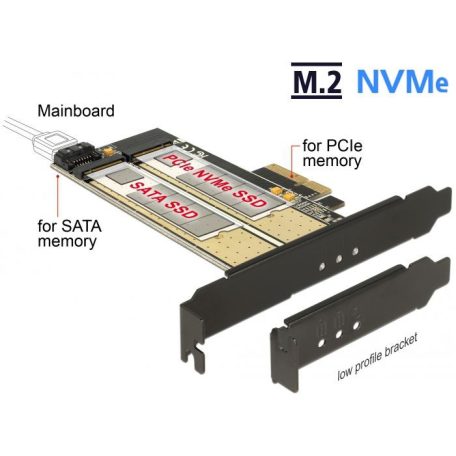 DeLock PCI Express x4 Card > 1x internal M.2 Key B + 1x internal NVMe M.2 Key M Low Profile Form Factor