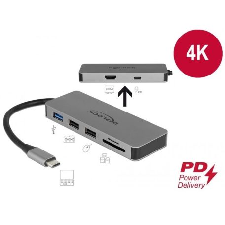 DeLock USB Type-C Docking Station