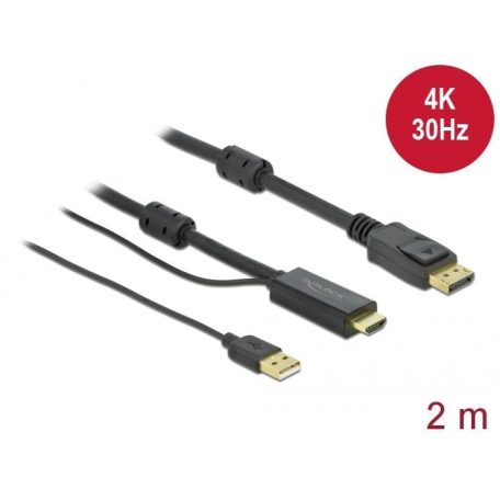 DeLock HDMI to DisplayPort 4K 30Hz 2m cable Black