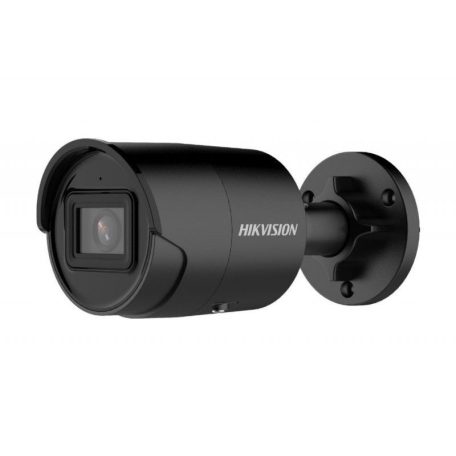 Hikvision DS-2CD2043G2-IU-B (2.8mm) Black