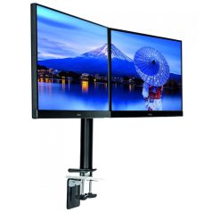   iiyama DS1002C-B1 Simple And Functional Dual Desktop Arm Black