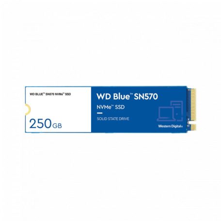 Western Digital 250GB M.2 2280 NVMe SN570 Blue