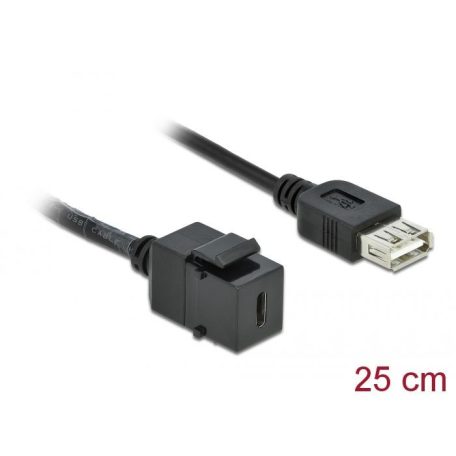 DeLock Keystone Module USB 2.0 C female > USB 2.0 A female with cable