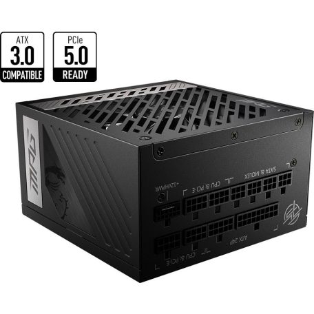 Msi 1000W 80+ Gold MPG A1000G