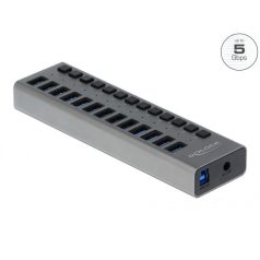 DeLock 13-port USB Hub Black