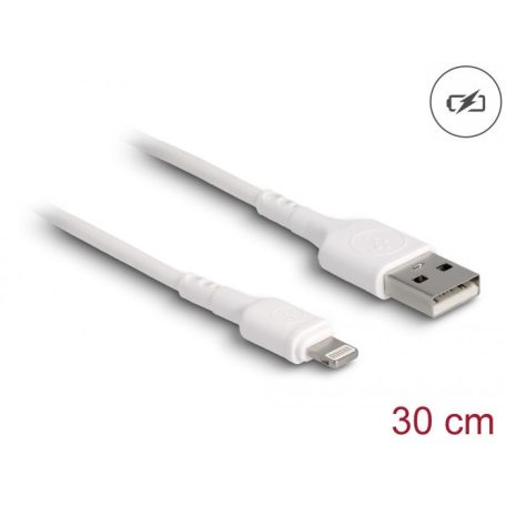 DeLock USB Charging Cable for iPhone/iPad/iPod 30cm White