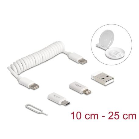 DeLock 5 in 1 USB Data and Charging Cable and Adapter Set PD 3.0 60W White