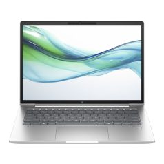 HP ProBook 445 G11 Silver