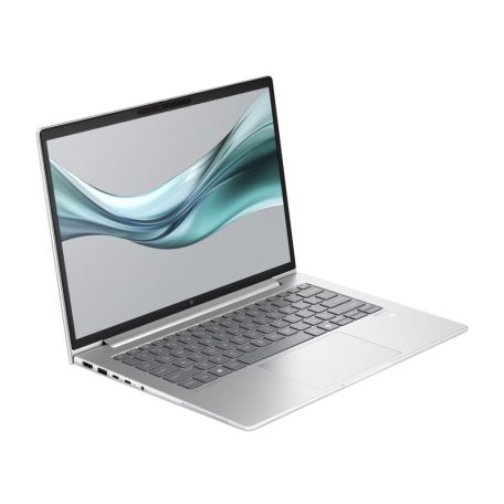 HP EliteBook 645 G11 Silver