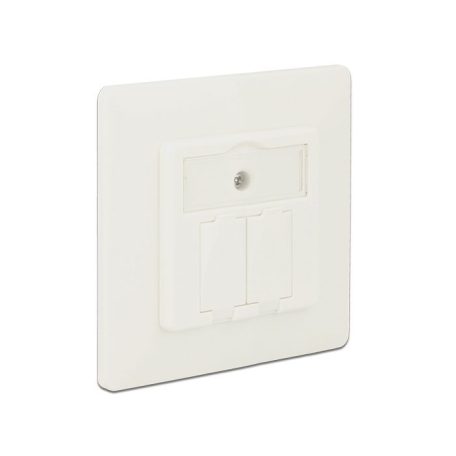 DeLock Keystone Wall Outlet 2 Port compact