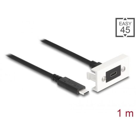 DeLock Easy 45 Module SuperSpeed USB 10 Gbps (USB 3.2 Gen 2) USB Type-C female to USB Type-C male with pigtail