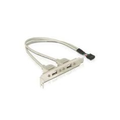 DeLock Slot bracket 2 x USB 2.0 type A female external