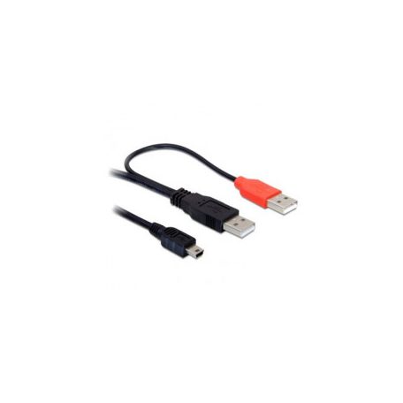 DeLock Cable 2 x USB2.0-A male > USB mini 5-pin 1m Black