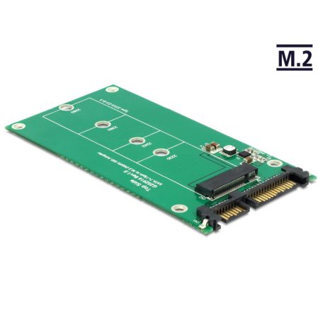 DeLock SATA to M.2 Converter